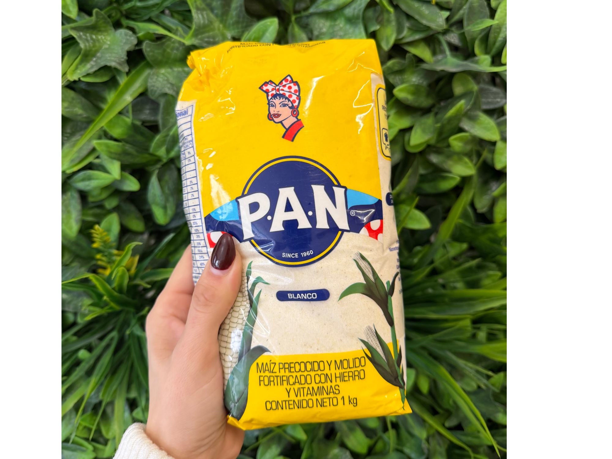 Harina de maíz blanco 1kg