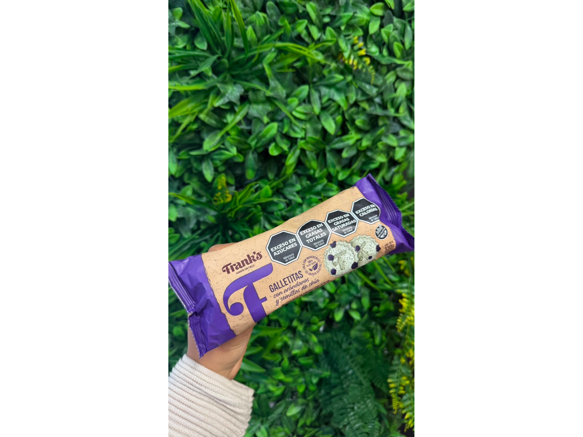 Galletas arándanos y chia
