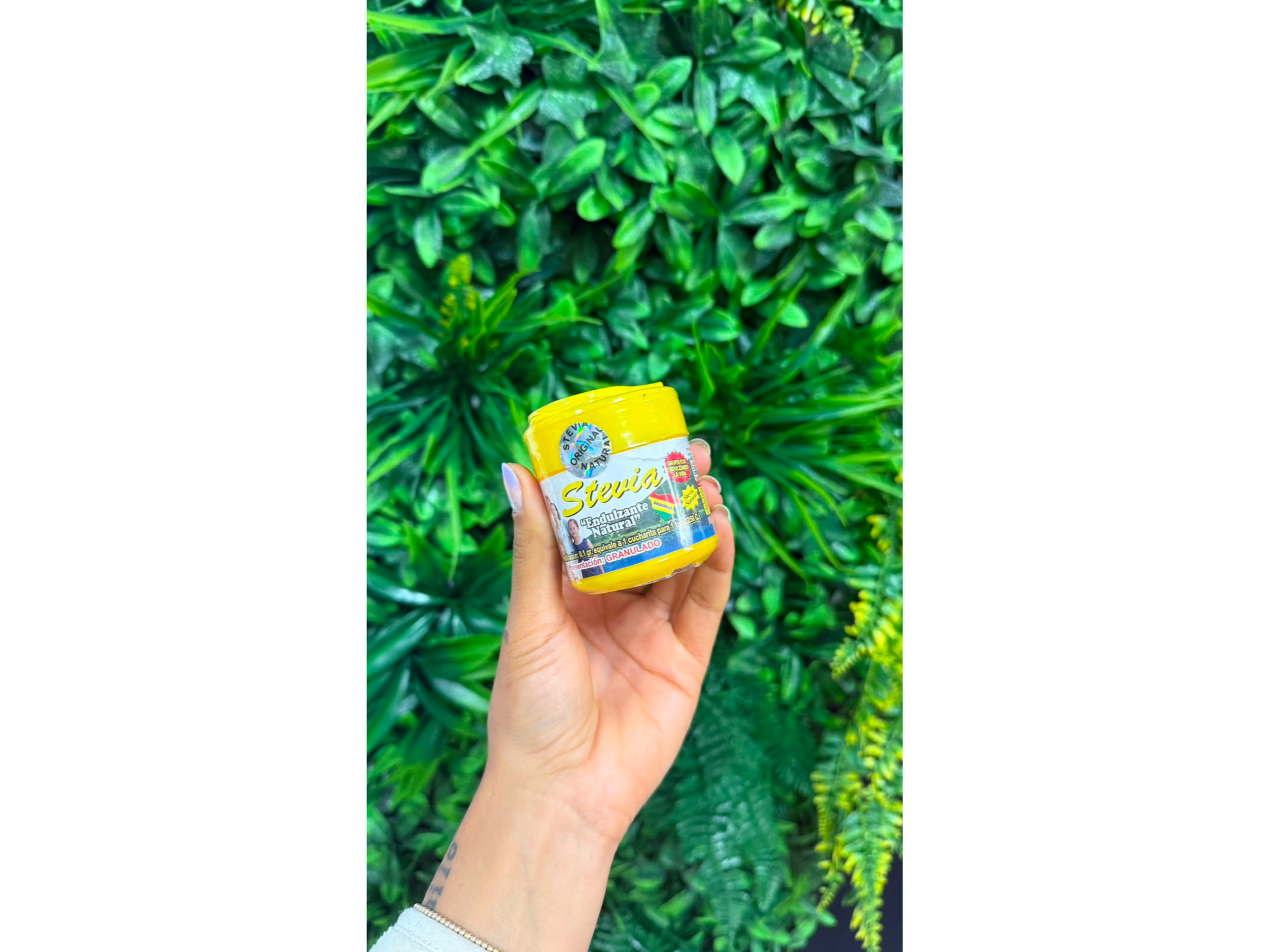 Stevia boliviana 80gr