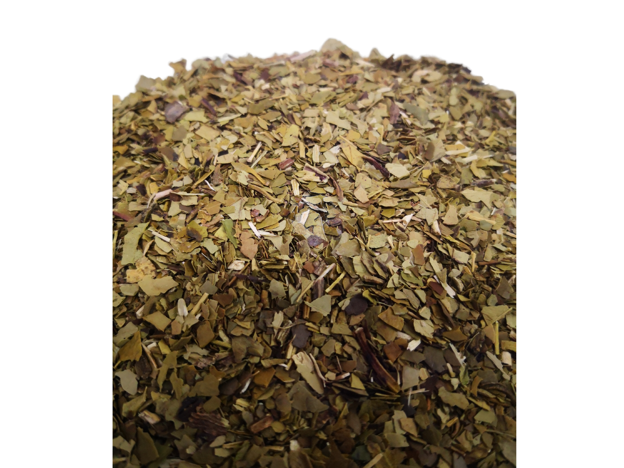 Yerba ajedrez
