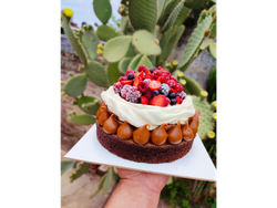 BROWNIE CON FRUTOS ROJOS