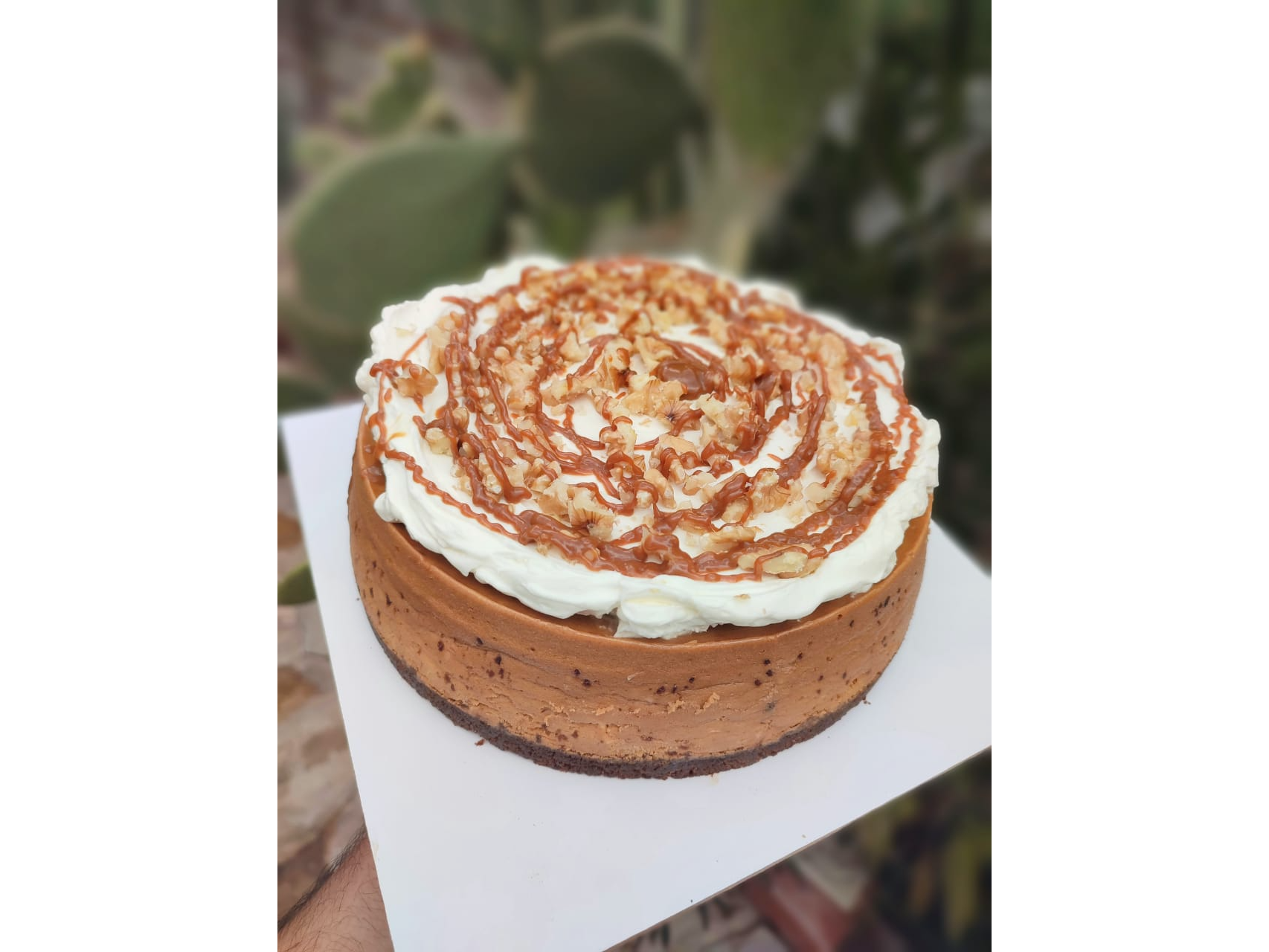 CHEESECAKE DE DULCE DE LECHE