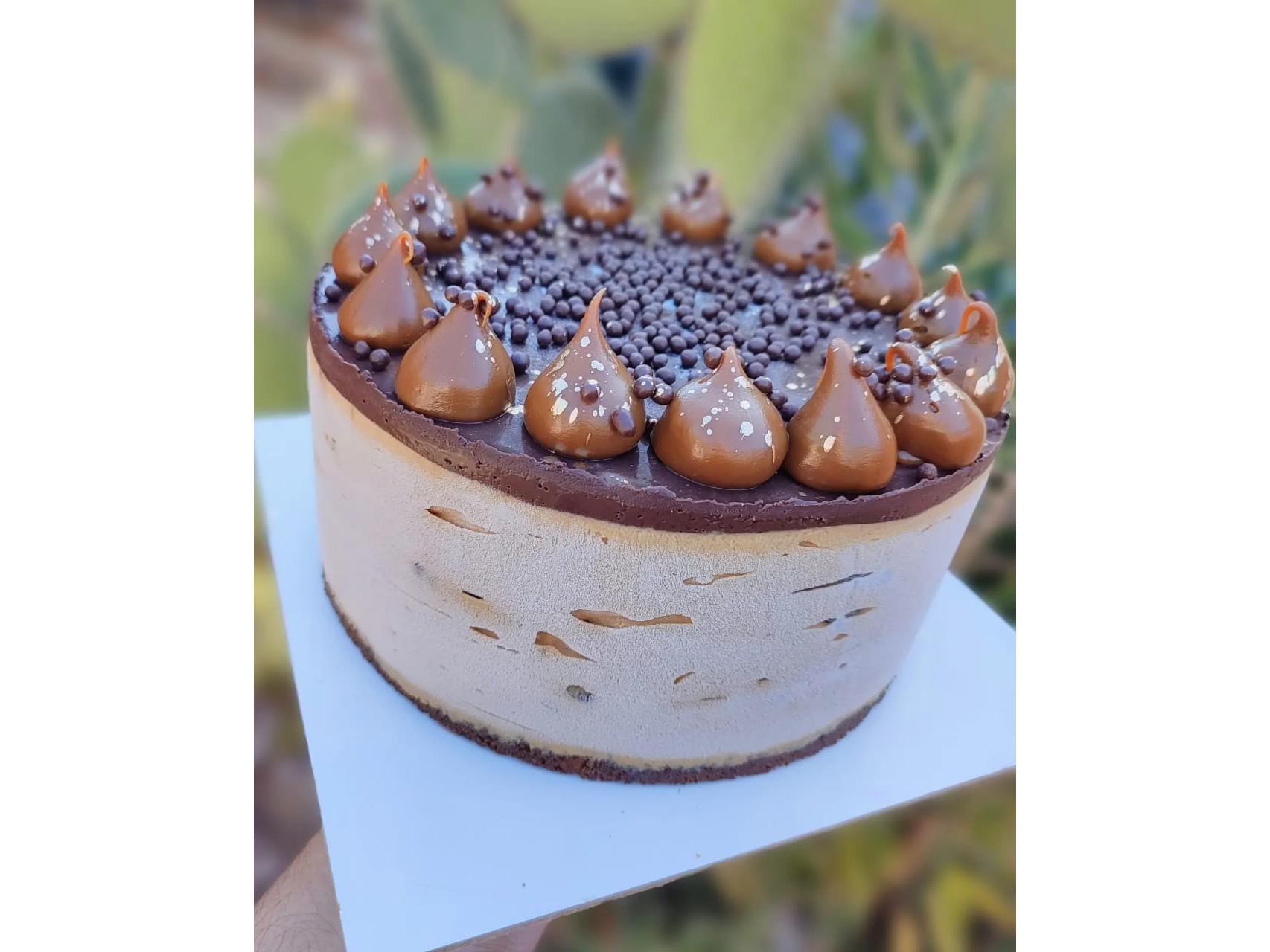 CHOCOTORTA