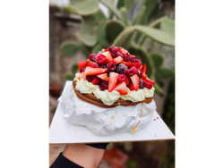 PAVLOVA