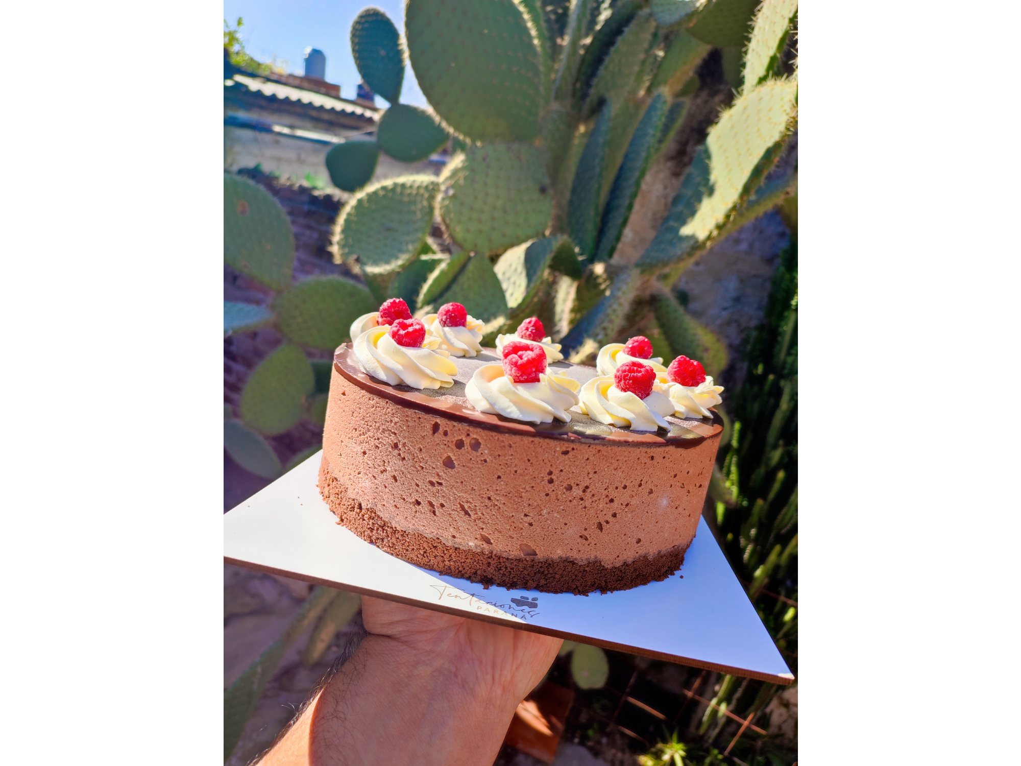 Torta Mousse de chocolate