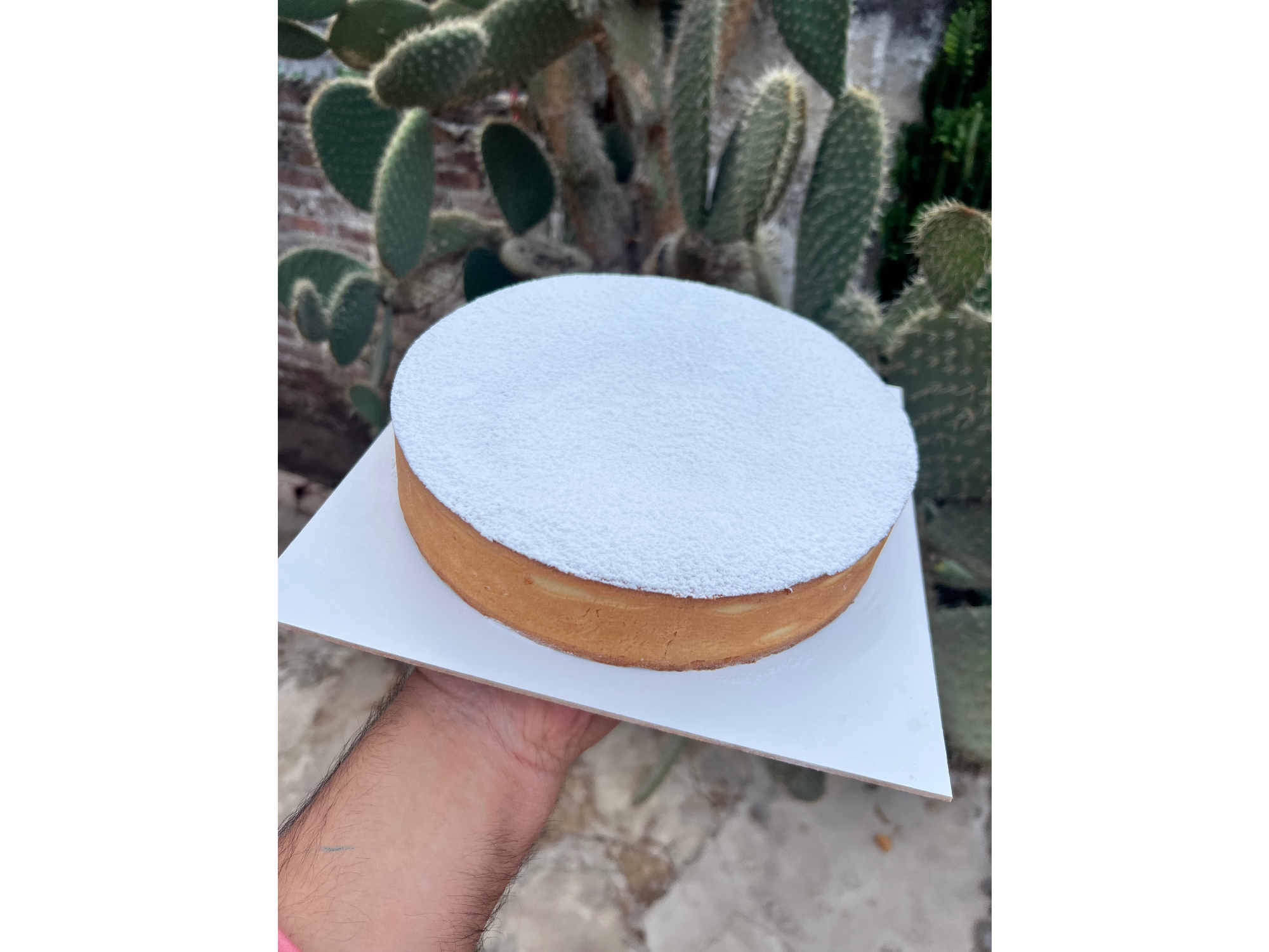TARTA DE RICOTA