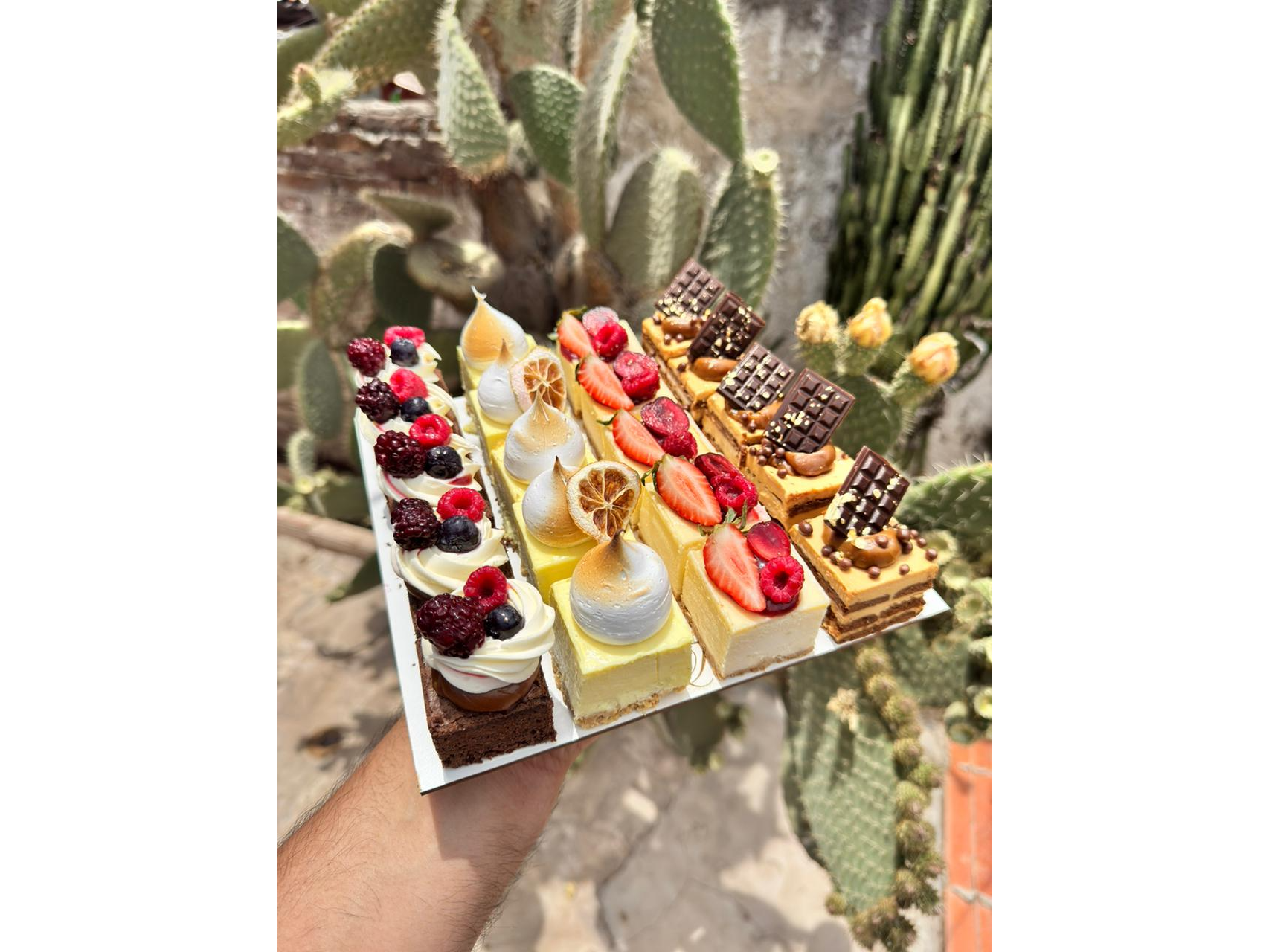 Bandeja De Individuales x 20 unidades