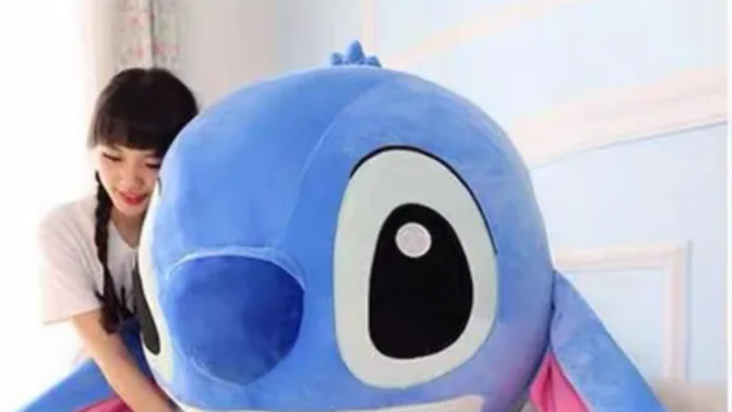 Peluches - Flores - Joyas