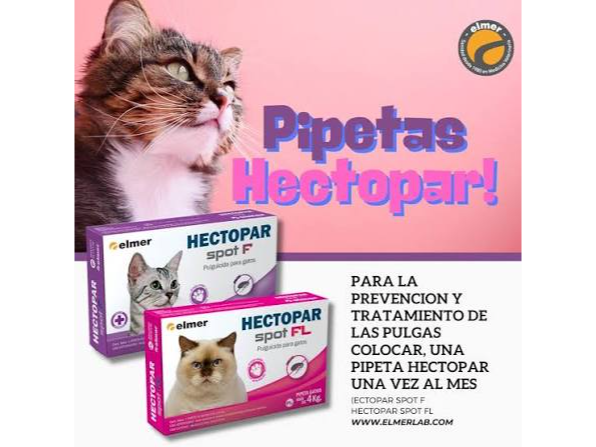 PIPETAS PARA GATOS