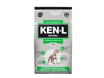KEN L CACHORRO