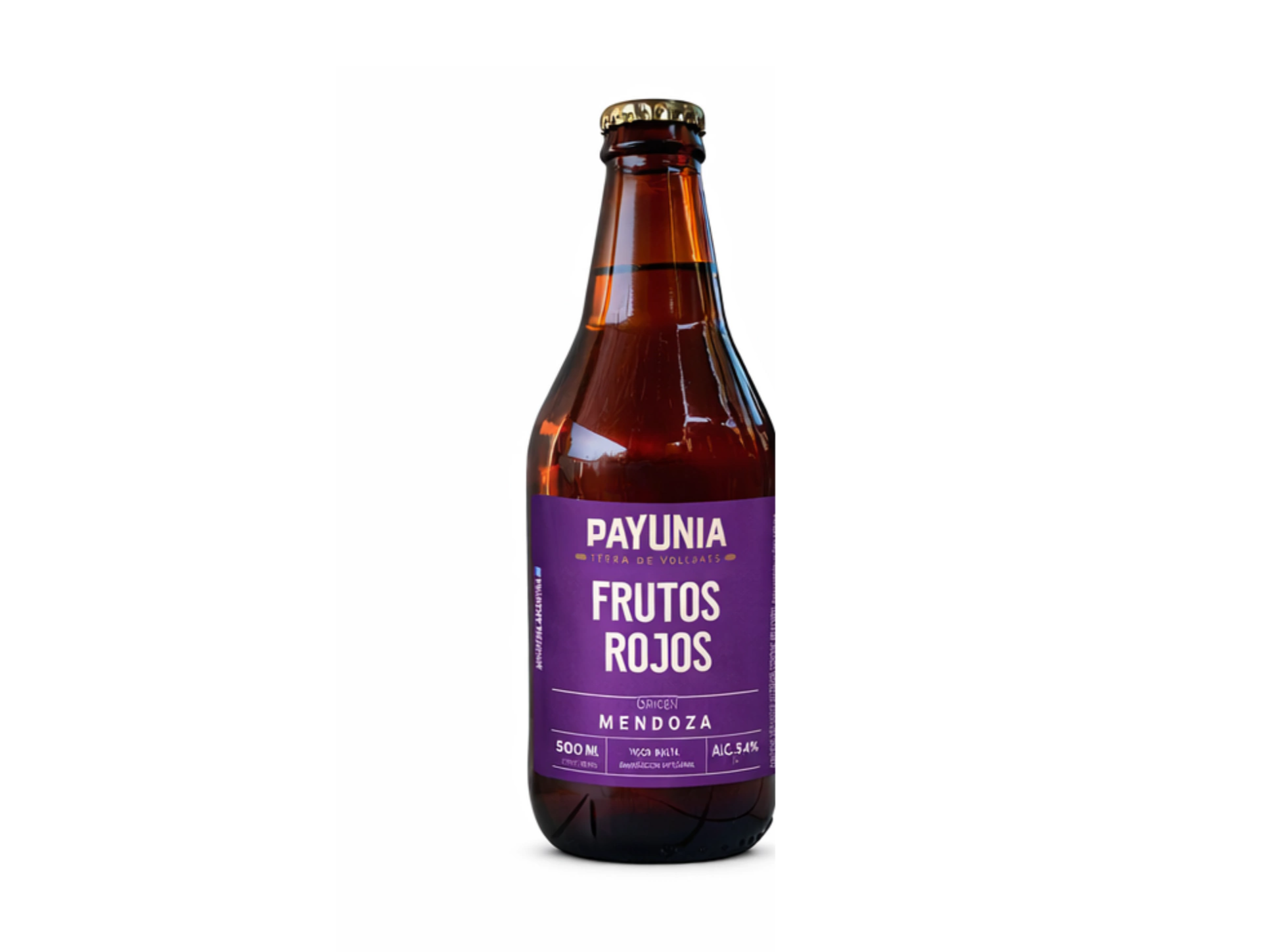 Cerveza Payunia Frutos Rojos 500cc PACK DE 6