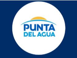 Queso barra punta del agua