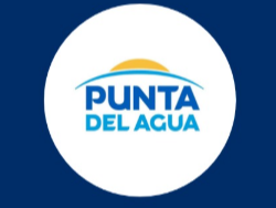 Cremoso punta del agua