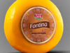 Fontina