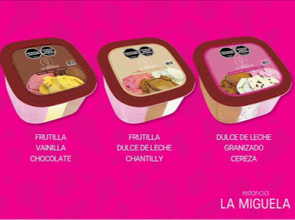 Balde 3 L la miguela