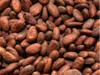 SEMILLA DE CACAO