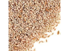 SEMILLA DE PSYLLIUM