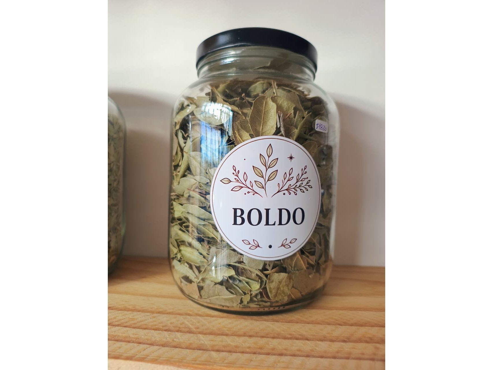 BOLDO