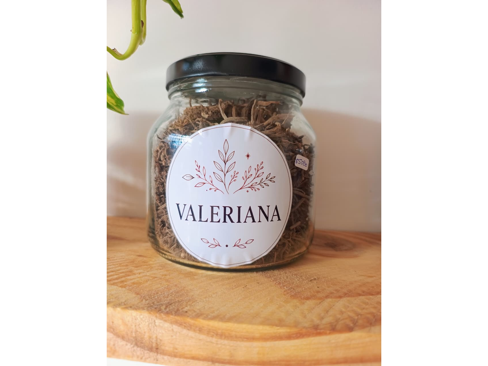 VALERIANA
