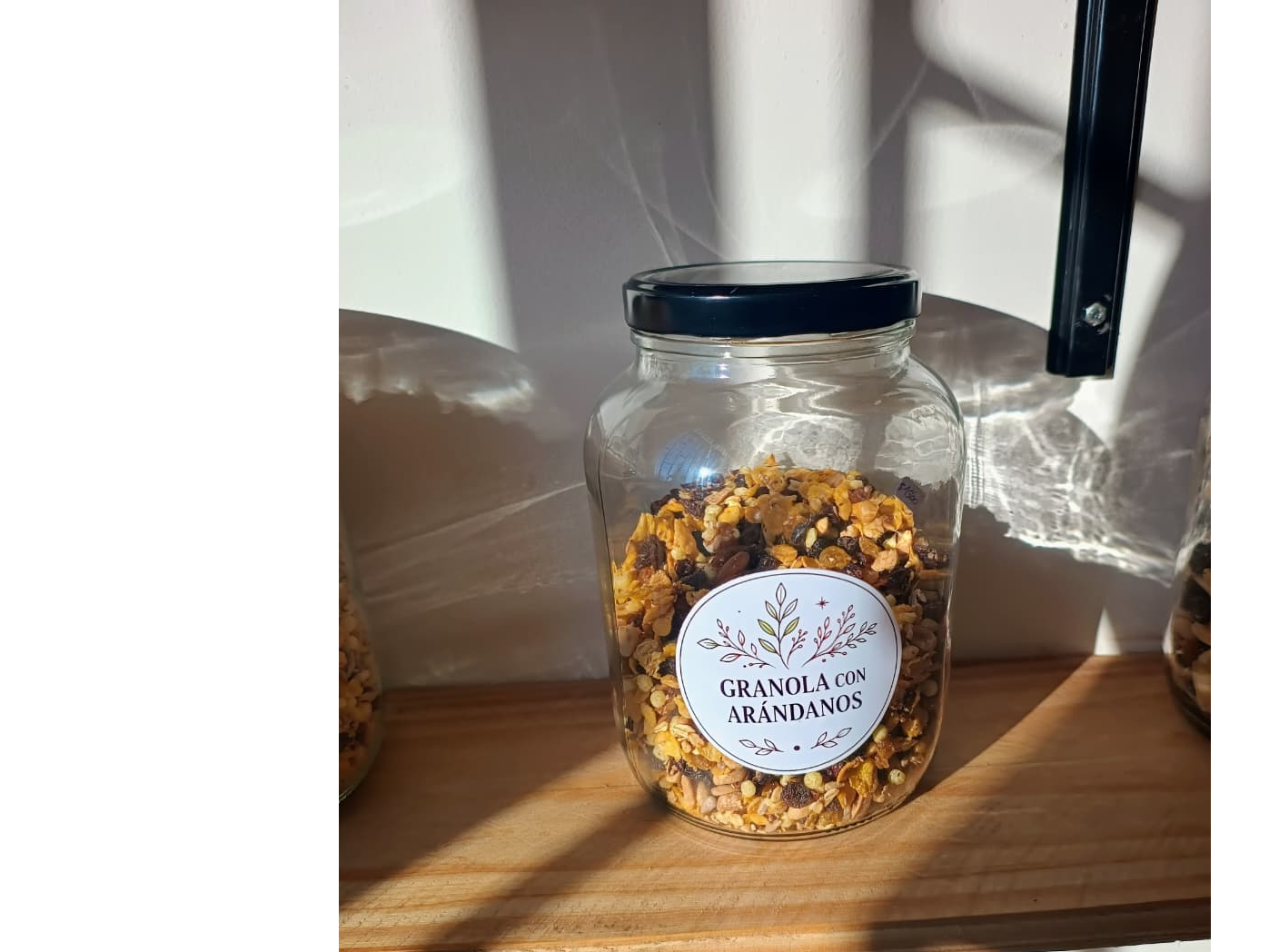 GRANOLA CON ARANDANOS
