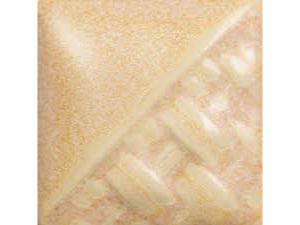 SW 196 Sand Dollar