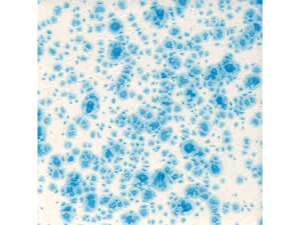 CG 788 Dutch Enamelware