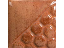 EL 143 Cactus Flower