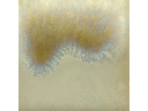 PC 601 clear cascade