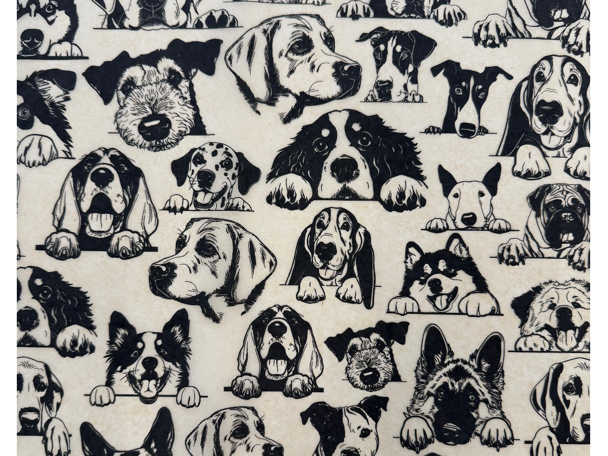 Lamina perros 2