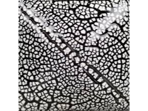 SG 202 White Cobblestone