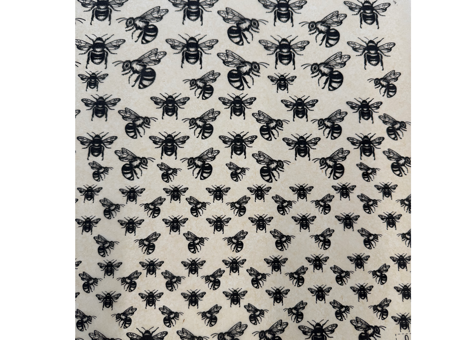 Lamina abejas 24