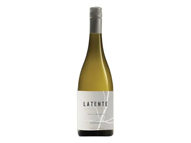 Vino Latente Sauvignon Blanc