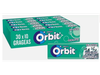 REF 49 Orbit Eucalipto (0.58 c/u)