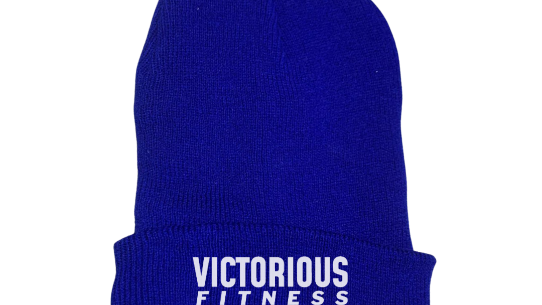 VICTORIOUS Promo  Primaria.