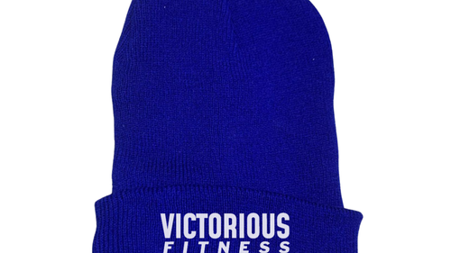 VICTORIOUS Promo Primaria.