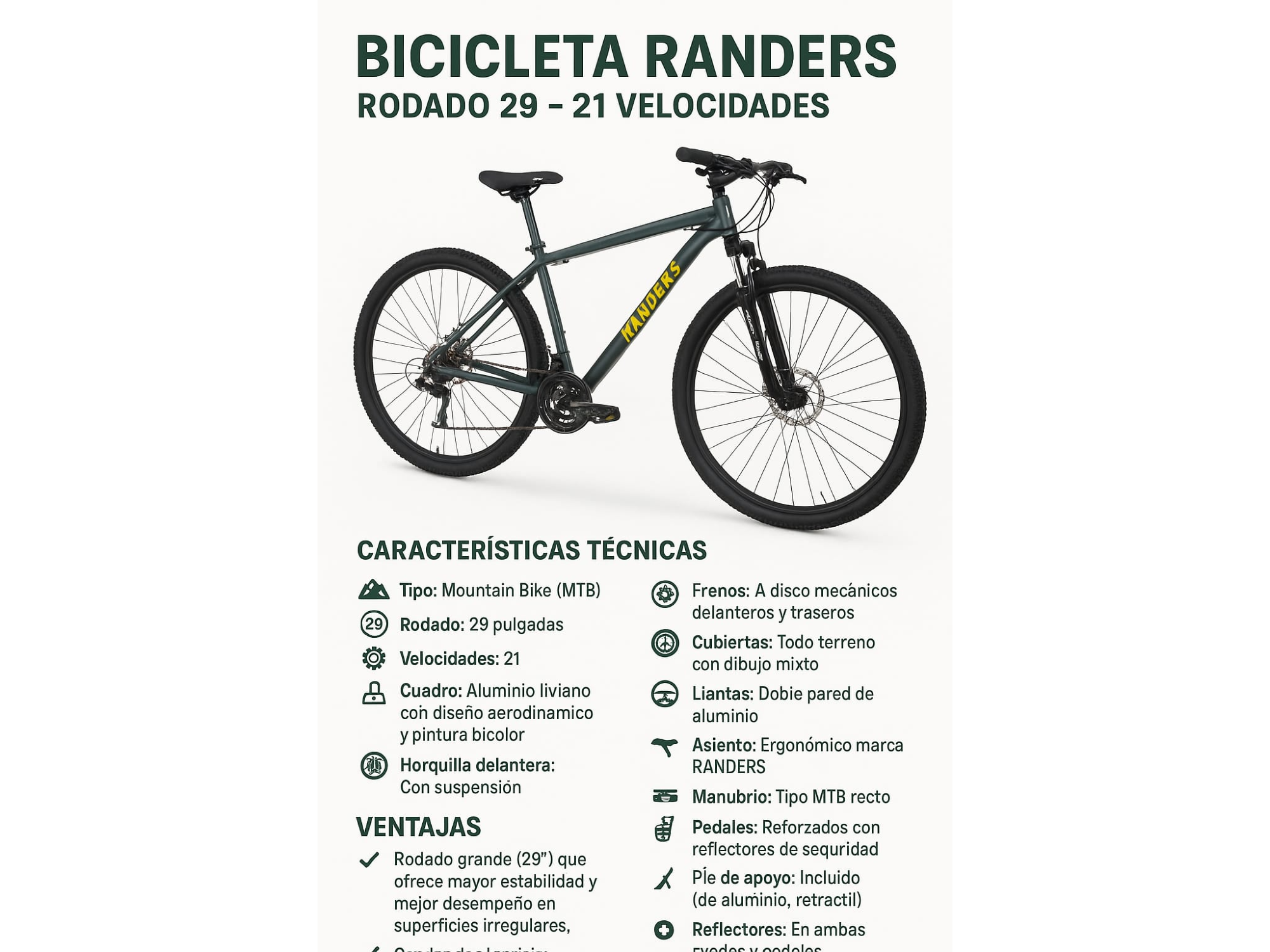 BICICLETA RANDERS
