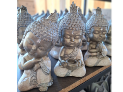 Buda N7 Ensueño Piquito / Monjes Blancos / Pelados