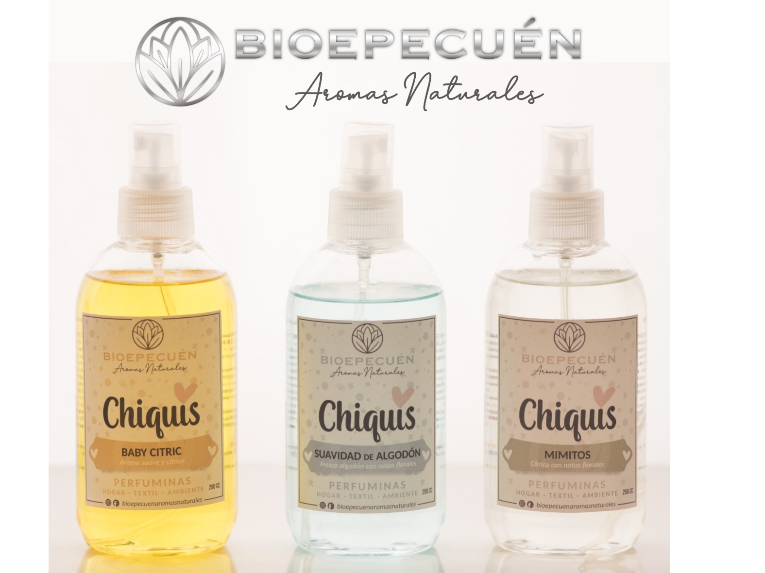 Perfumina CHIQUIS Linea Premium