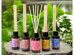 Difusor Premium x60ml