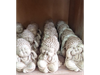 Trio Buditas Monjes Crudo Ch