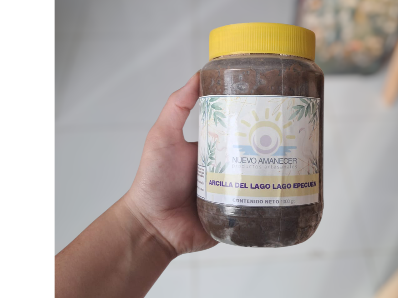 Arcilla Del Lago Epecuen Grande