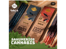 Sahumerios GROW CANNABIS (Indica - Sativa)