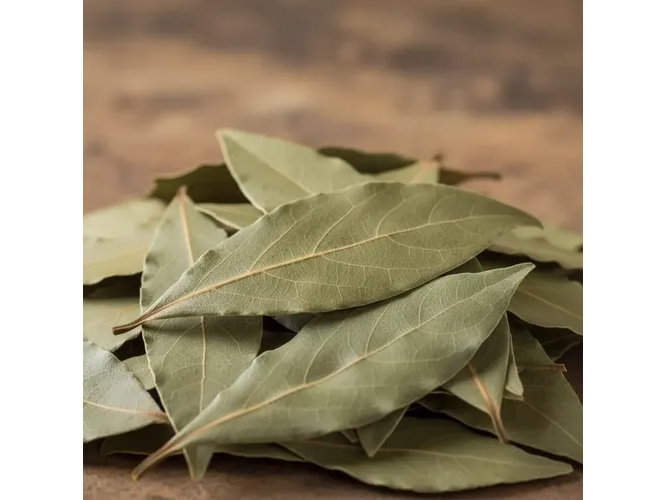 Laurel