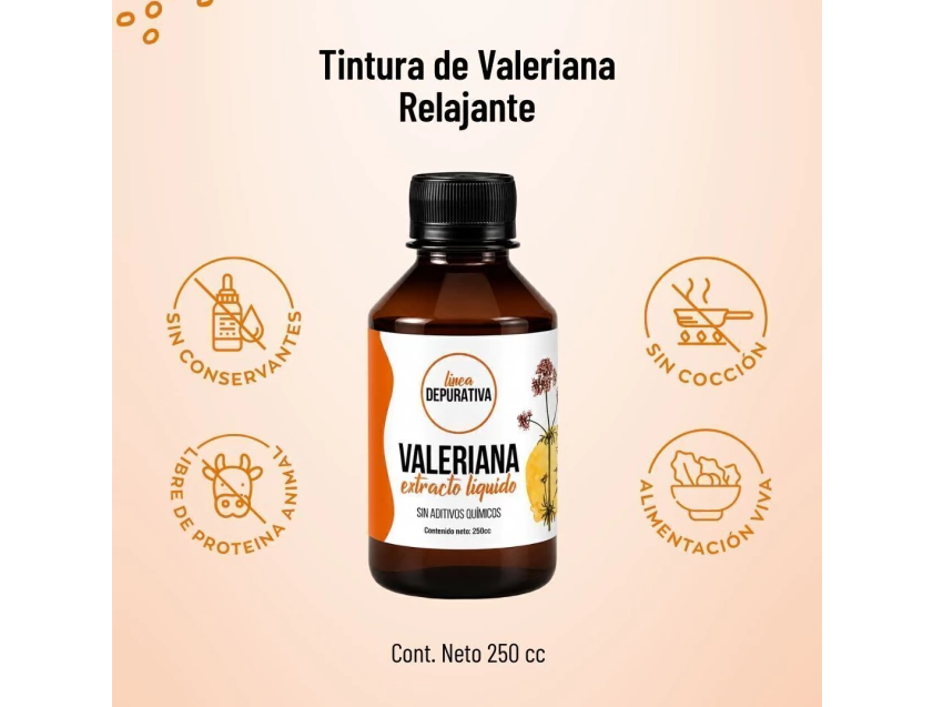 Valeriana "Prama"