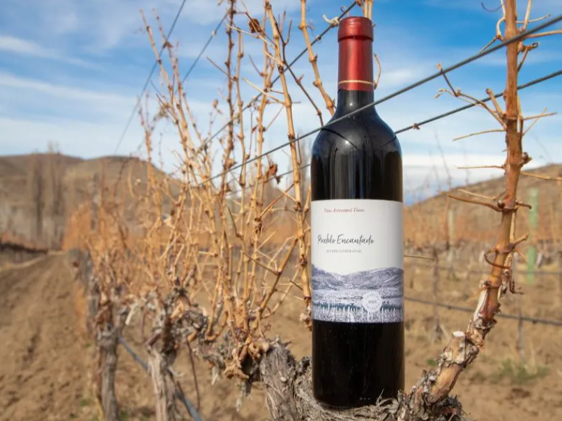 Merlot Roble "Pueblo Encantado" (Taquimilán)
