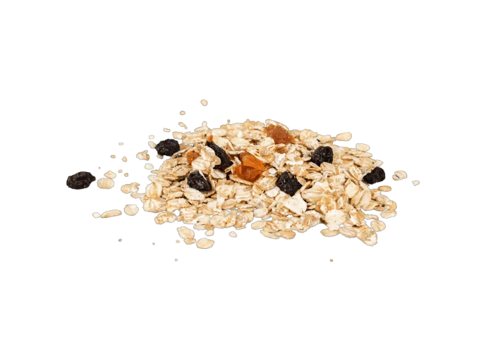 Granola seca