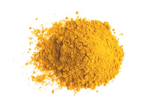 Curcuma