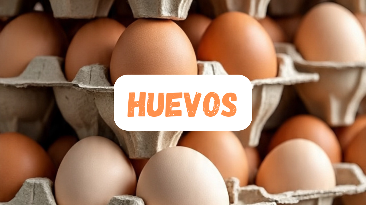 HUEVOS