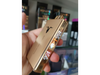 IGNITE v250