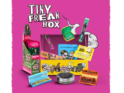 BOX LION TINY FREAK 000